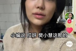 樊小慧视频爆料最新,揭秘娱乐圈惊人内幕