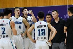 cba最新消息爆料,揭秘新赛季转会风云与焦点战事