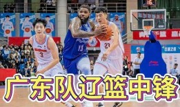 cba最新消息爆料,揭秘新赛季转会风云与焦点战事